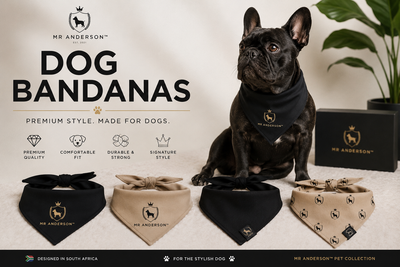 Premium MR ANDERSON™ dog bandanas in boutique style